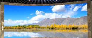 “海外客戶最關(guān)心的LED屏參數(shù):不是分辨率，而是這個(gè)..